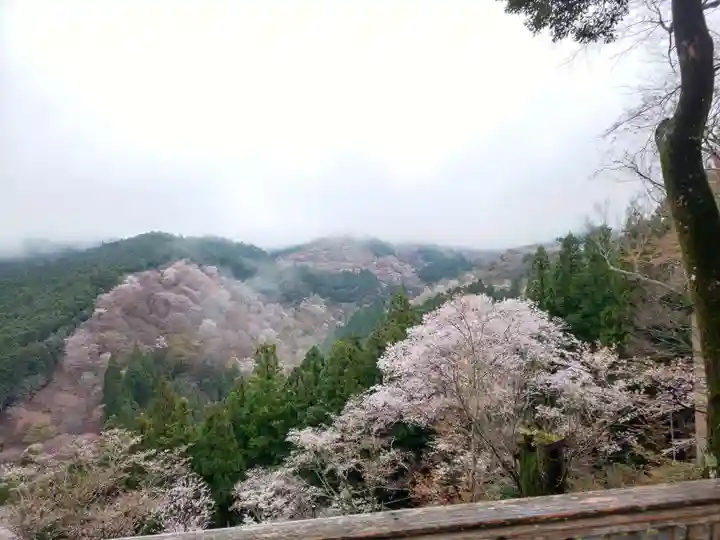 𠮷水神社(吉水神社)の自然