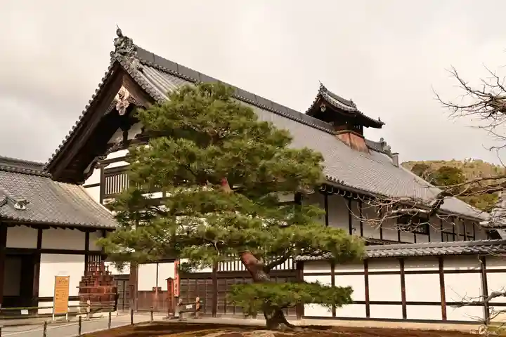 鹿苑寺(金閣寺)(京都府)