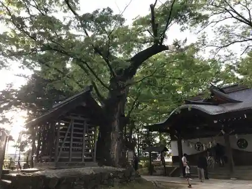 川中島古戦場八幡社のその他建物
