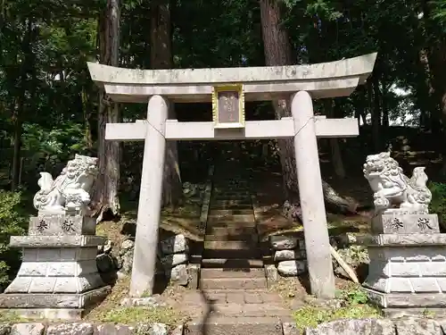 大山祇神社の鳥居