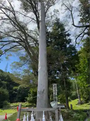 諏訪大社上社前宮(長野県)