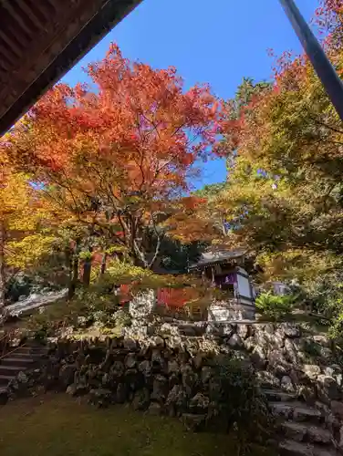 柳谷観音　楊谷寺(京都府)
