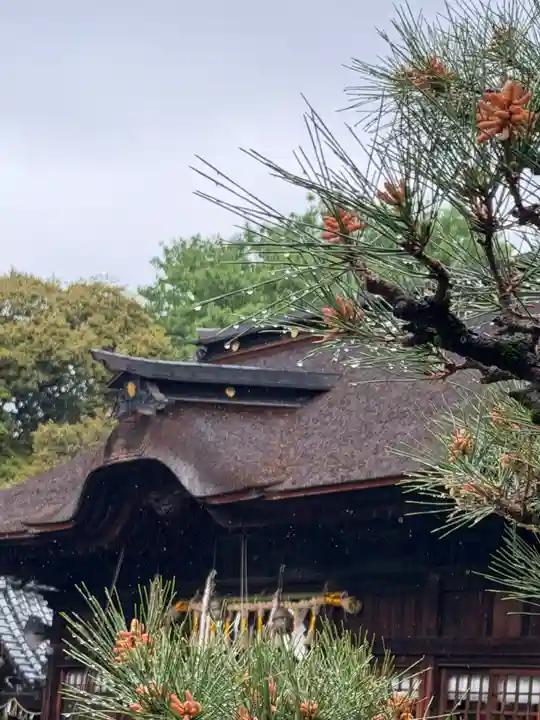 手力雄神社(岐阜県)