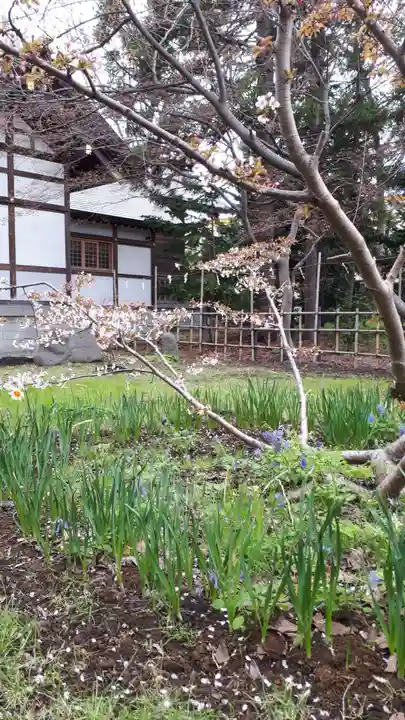 新琴似神社の庭園