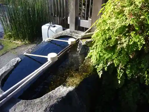 妙蓮寺の手水舎