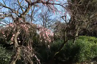 北野天満宮(京都府)
