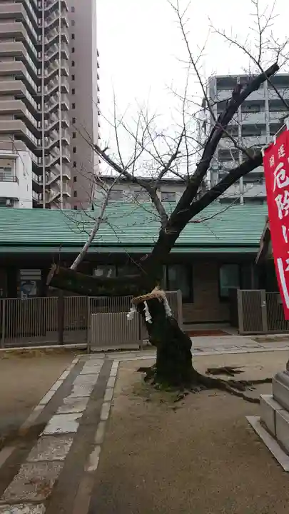 長柄八幡宮のその他建物