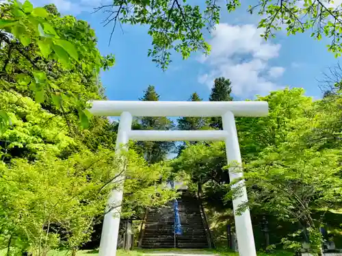 土津神社｜こどもと出世の神さまの鳥居