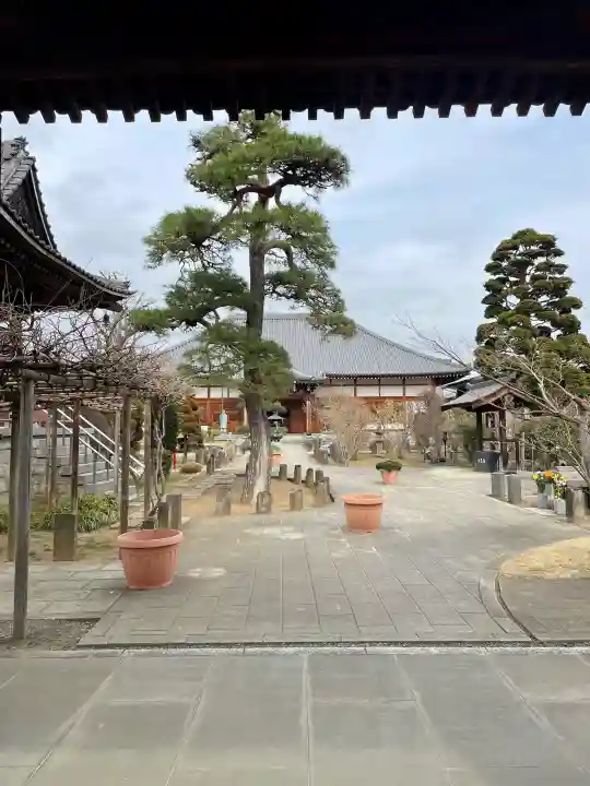 遍照院の{uncategorized: "未分類", other: "その他", undefined: "問題あり", building: "その他建物", grave: "お墓", sacred_gate: "鳥居", guardian: "狛犬", statue: "像", buddha: "仏像", history: "歴史", nature: "自然", garden: "庭園", animal: "動物", pagoda: "塔", temizu: "手水舎", mountain_gate: "山門・神門", sanctuary: "本殿・本堂", subordinate: "末社・摂社", art: "芸術", scenery: "景色", jizo: "地蔵", ema: "絵馬", goshuin: "御朱印", omikuji: "おみくじ", items: "授与品その他", amulet: "お守り", goshuincho: "御朱印帳", eats: "食事", festival: "お祭り", votive_dance: "神楽", shichigosan: "七五三参", wedding: "結婚式", experience: "体験その他", initially: "初詣", around: "周辺", anti_infection: "感染症対策"}