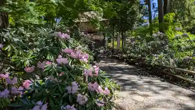 成相寺(京都府)