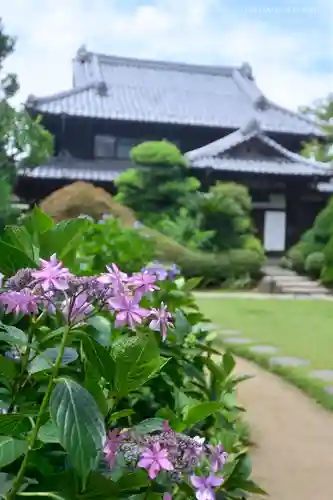 高幡不動尊　金剛寺の庭園