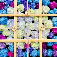 土津神社|こどもと出世の神さまの手水舎