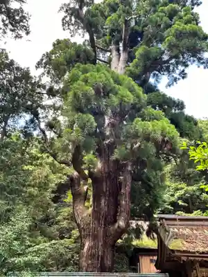 若狭姫神社（若狭彦神社下社）(福井県)