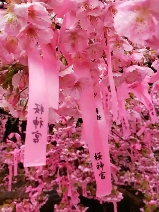 桜神宮(東京都)