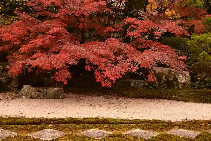天授庵(京都府)