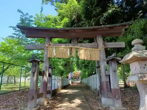 馬場氷川神社の鳥居