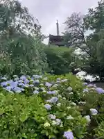本土寺(千葉県)