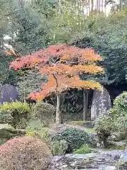 高麗神社の自然