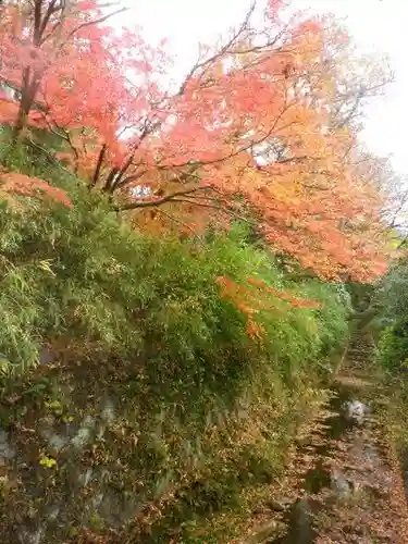 理智光寺跡（理智光寺址）＜史跡＞の自然
