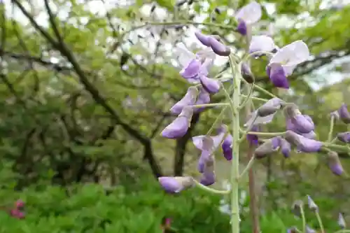 法隆寺の自然