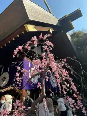 東京大神宮(東京都)