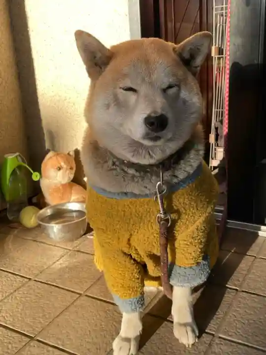 笠䅣稲荷神社(神奈川県)