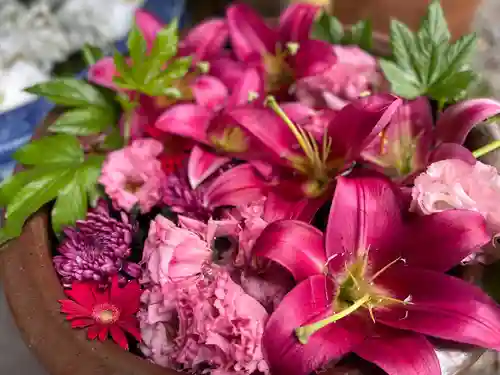 札幌護國神社の手水舎