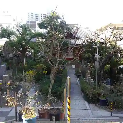 蓮光寺のその他建物