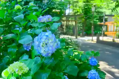 仙波東照宮(埼玉県)