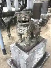 飯倉神社の狛犬