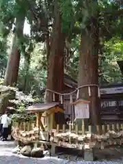 高千穂神社の自然