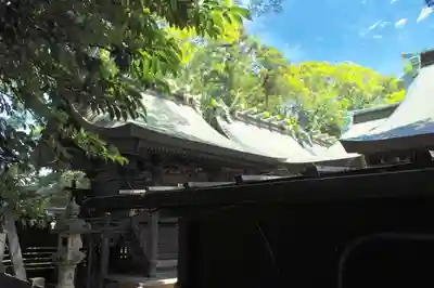 検見川神社の本殿・本堂