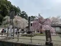 醍醐寺(京都府)