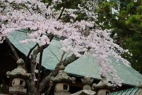 安達太良神社の本殿・本堂