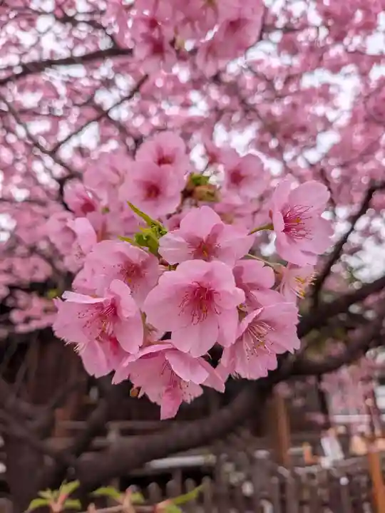 新宿下落合氷川神社(東京都)