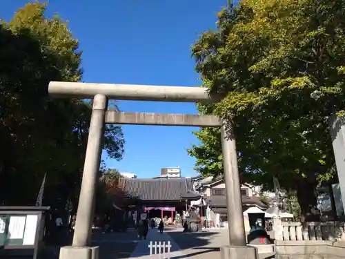 浅草神社の鳥居