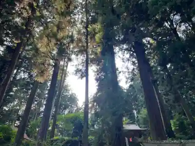 大宮温泉神社(栃木県)