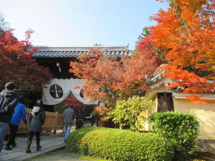 光明寺(粟生光明寺)のその他建物
