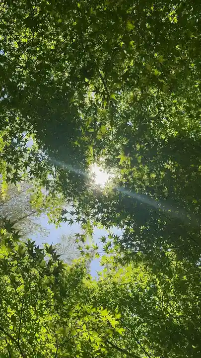 大雲寺(京都府)