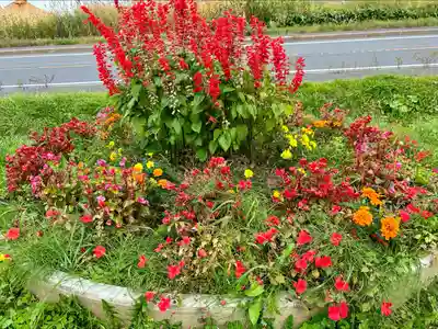 中小屋神社の自然