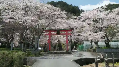 射手神社の鳥居