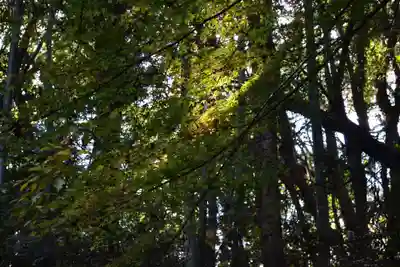 大鳥羽神社(山口県)