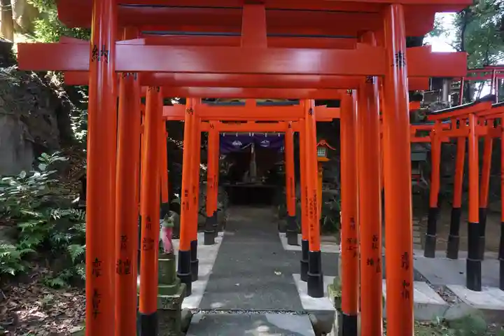 澤蔵司稲荷(慈眼院)の鳥居