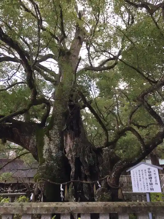大山祇神社のその他建物