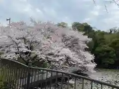 厳島神社(広島県)