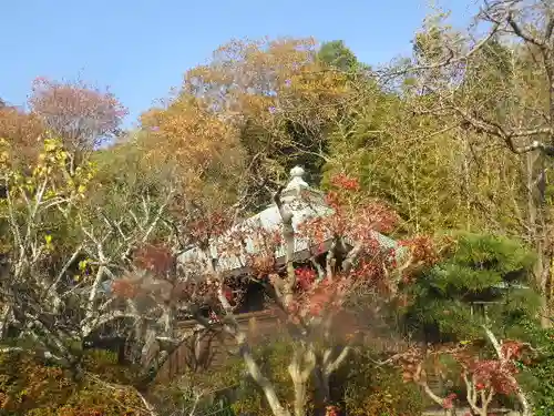浄光明寺の自然