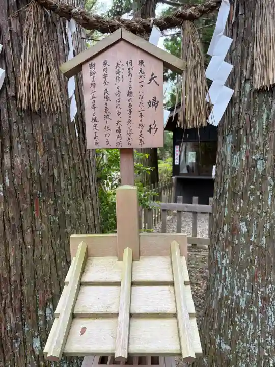 大崎八幡宮(宮城県)