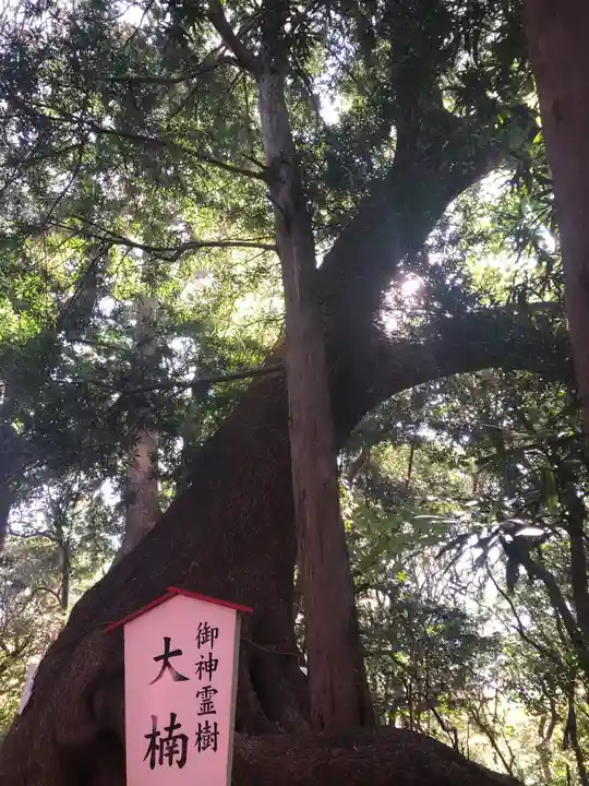 住吉神社の自然