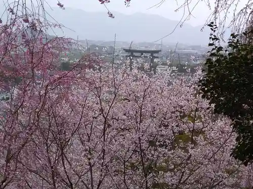 大神神社の自然