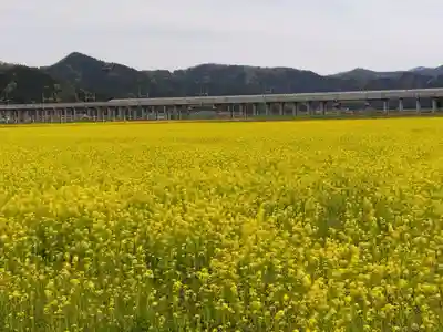 白山神社(福井県)